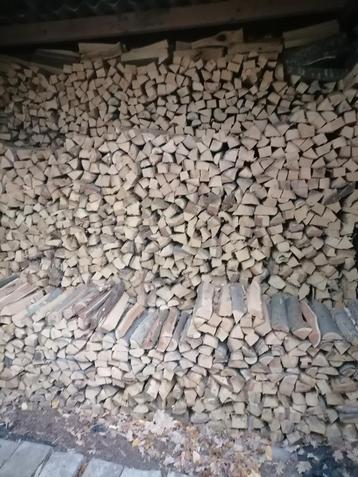 brandhout eik droog. beschikbaar voor biedingen