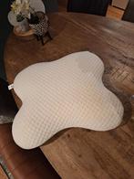 Hoofdkussen, Ophalen, Gebruikt, Kussen