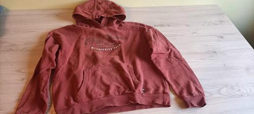 Hoodie, Kinderen en Baby's, Kinderkleding | Maat 176, Zo goed als nieuw, Meisje, Trui of Vest, Ophalen of Verzenden