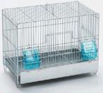 Nouvelle cage Cova en métal galvanisé 42x25x31 cm, Animaux & Accessoires, Oiseaux | Cages & Volières, Cage d'élevage, Enlèvement ou Envoi