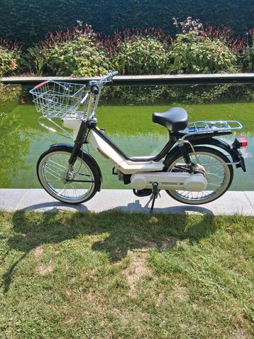 HONDA CAMINO VARIO, Neuf, 0 vitesses, 49 cm³, Enlèvement