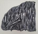 orthoceras fossielen, Verzamelen, Ophalen, Fossiel