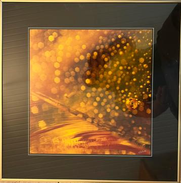 Photographie d’art signée Rachelle Delmelle beschikbaar voor biedingen