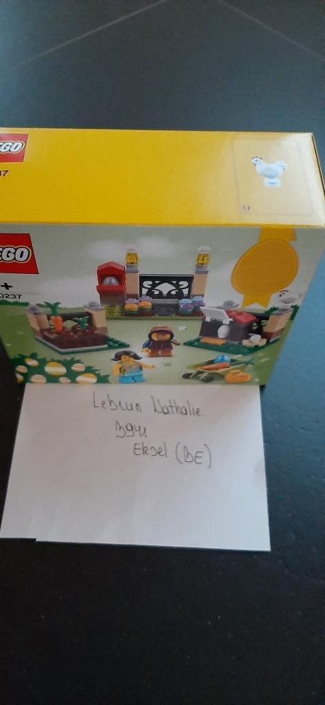 Lego 40237 Easter Egg Hunt, Kinderen en Baby's, Speelgoed | Duplo en Lego, Nieuw, Lego, Complete set, Ophalen of Verzenden