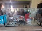 Aquarium ( volledige starter set), Dieren en Toebehoren, Ophalen, Gebruikt, Leeg aquarium