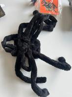 Hondenkostuum halloween - halloween hond - spin, Ophalen of Verzenden, Zo goed als nieuw