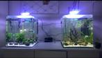 2 50 liter aquariums, 55 voor 1., Ophalen, Zo goed als nieuw