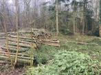 Stamhout Douglas, Tuin en Terras, Brandhout, 6 m³ of meer, Ophalen, Overige houtsoorten, Stammen