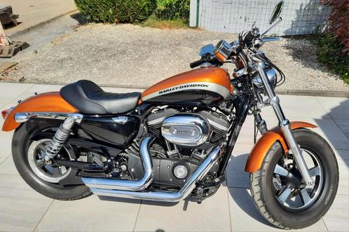 Harley-Davidson 1200 custom 2017, Motoren, Motoren | Harley-Davidson, Particulier, Chopper, meer dan 35 kW, 2 cilinders, Ophalen