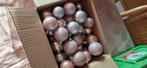 Doos met kerstballen, Diversen, Ophalen