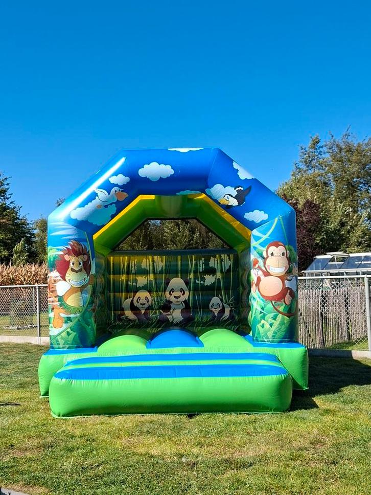 Springkasteel Te Huur, Hobby en Vrije tijd, Feestartikelen | Verhuur, Zo goed als nieuw, Ophalen of Verzenden