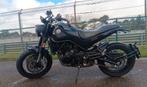 Benelli Leoncino 500 trail (35kW) 2021, Motoren, 2 cilinders, Particulier, Overig, Minimaal motorrijbewijs A2