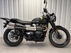 TRIUMPH SCRAMBLER 900 35kW!!!*** garantie ***, Bedrijf