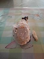 Fossiele zee egel uit krijtgroeve, Ophalen of Verzenden, Zo goed als nieuw