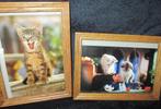 2 houten kadertjes met poezen foto , samen 1 euro, Verzamelen, Dierenverzamelingen, Ophalen of Verzenden, Gebruikt, Hond of Kat