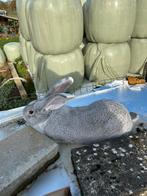 Duitse reuzen te koop!, Dieren en Toebehoren, Konijnen, Meerdere dieren, Groot, 0 tot 2 jaar