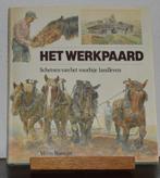 Boek "het werkpaard" door Wim Romijn, Boeken, Ophalen of Verzenden, Zo goed als nieuw, Uniboek, Overige onderwerpen