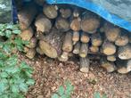 Brandhout op stam, Tuin en Terras, Brandhout, 3 tot 6 m³, Ophalen, Overige houtsoorten, Stammen