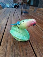 Decoratieve papegaai, Enlèvement ou Envoi