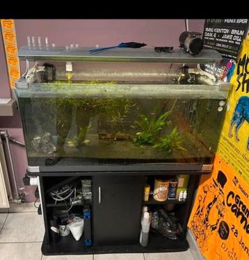 Aquaruim 1meter incl alles beschikbaar voor biedingen