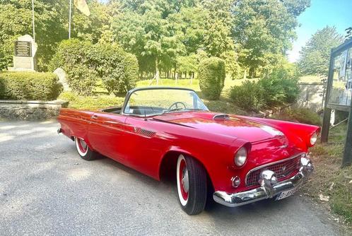 Thunderbird 1955, Auto's, Oldtimers, Particulier