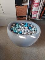 Misioo ballenbad voor hond, Enlèvement