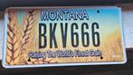 Montana nummerplaat, Ophalen of Verzenden, Gebruikt