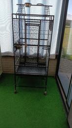 kooien papegaai, Enlèvement ou Envoi, Utilisé, Métal, Cage à oiseaux
