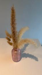 Vase avec herbe de pampa séchée, Enlèvement, Comme neuf