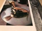 Constantin Brancusi Sculptures 80pag, Boeken, Kunst en Cultuur | Beeldend, Ophalen of Verzenden, Zo goed als nieuw, Beeldhouwkunst
