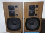CL 490 dubbele luidspreker, Audio, Tv en Foto, Luidsprekerboxen, Ophalen, Gebruikt, Overige typen