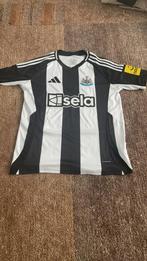 Newcastle united voetbal shirt seizoen 2024/25, Verzamelen, Ophalen of Verzenden, Nieuw, Shirt