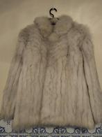 bontjas zilver vos met certificaat zie fotos, Kleding | Dames, Jassen | Winter, Ophalen, Zo goed als nieuw, Maat 38/40 (M)