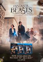 Fantastic Beasts and where to find them DVD poster, Verzenden