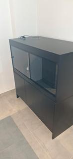 Terrarium, Dieren en Toebehoren, Ophalen