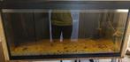 Aquarium, Ophalen, Zo goed als nieuw