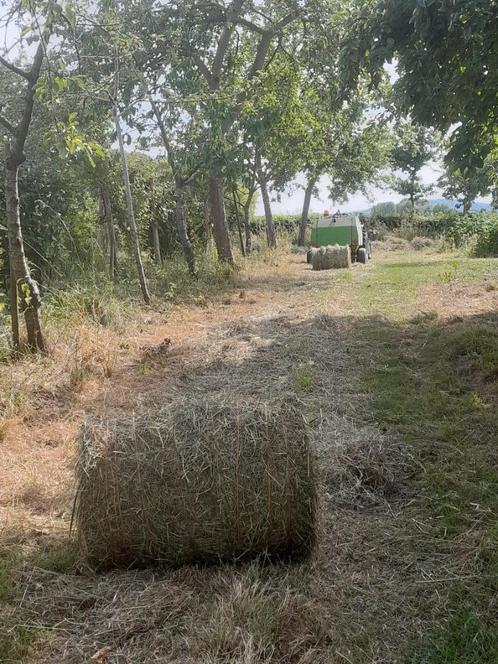 hooi, Zakelijke goederen, Landbouw | Veevoer, Ophalen