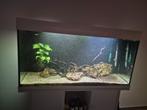 Aquarium  120, Dieren en Toebehoren, Vissen | Aquaria en Toebehoren, Ophalen, Gebruikt, Gevuld zoetwateraquarium