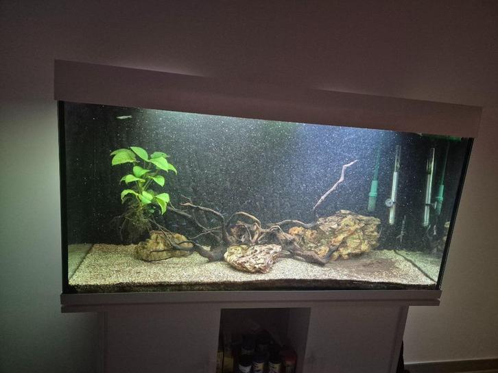 Aquarium  120, Dieren en Toebehoren, Vissen | Aquaria en Toebehoren, Gebruikt, Gevuld zoetwateraquarium, Ophalen