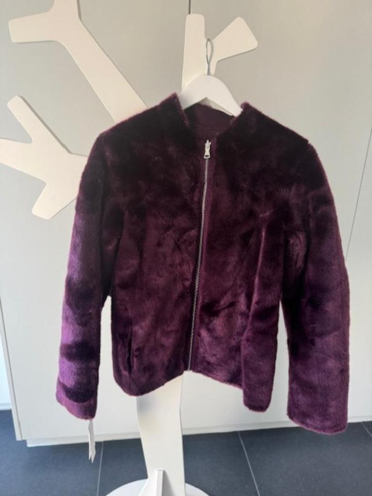 Nieuw Chique bontjasje Calvin Klein maat S, Kleding | Dames, Jassen | Winter, Nieuw, Maat 36 (S), Ophalen of Verzenden