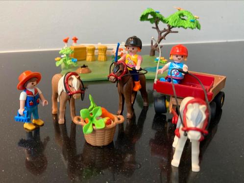 Playmobil Country: ponyweide met hooiwagen (5457), Enfants & Bébés, Jouets | Playmobil, Comme neuf, Ensemble complet, Enlèvement ou Envoi