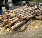 Bois de sapin spruce, Ophalen, Overige houtsoorten, Stammen