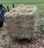 Kleine pakken droog hooi, Dieren en Toebehoren, Ophalen