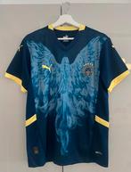 Fenerbahçe Voetbalshirt Origineel Nieuw 2025, Ophalen of Verzenden, Zo goed als nieuw