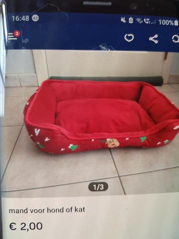Linda beschikbaar voor biedingen