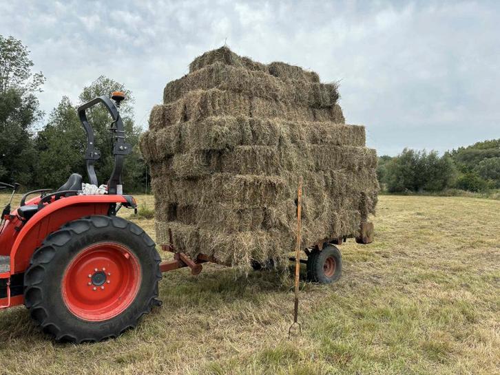Petit et gros ballots de foin a vendre, Dieren en Toebehoren, Dierenvoeding, Vee, Ophalen