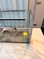 Aquarium 80x35x40, Dieren en Toebehoren, Ophalen