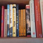 Lot 2 : Livres néerlandais, Livres, Enlèvement ou Envoi, Comme neuf