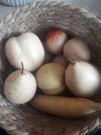 Vintage gewaxt nepfruit, Ophalen of Verzenden