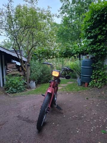 Piaggio ciao (vespa), Fietsen en Brommers, Ophalen, Ciao, Klasse A (25 km/u), 49 cc